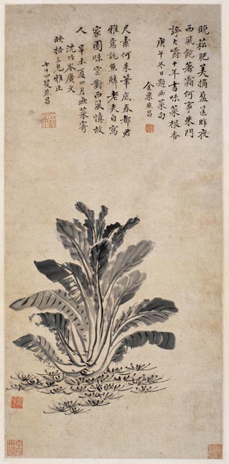 清 张燕昌 墨菜图 60x29cm
