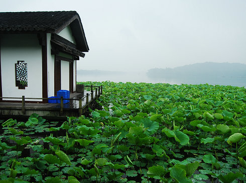 世界的湖