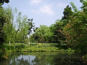 柳浪闻莺