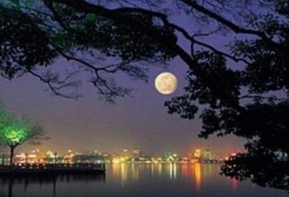 平湖秋月