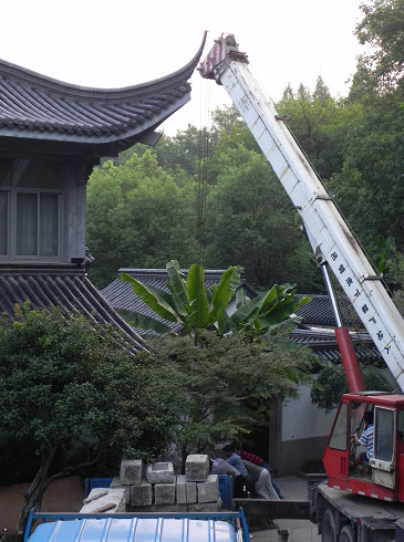 借助大吊车放置