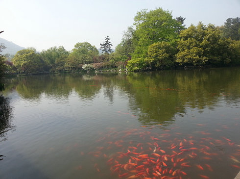 西湖之美