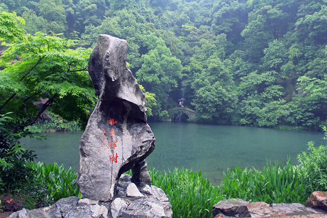 九溪烟树