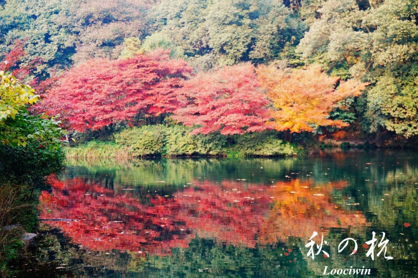 九溪烟树
