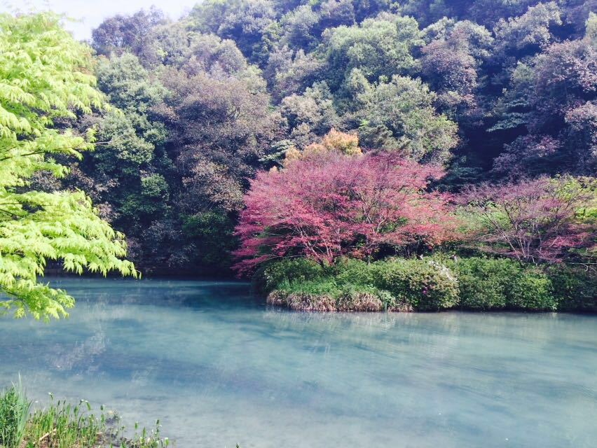 九溪烟树
