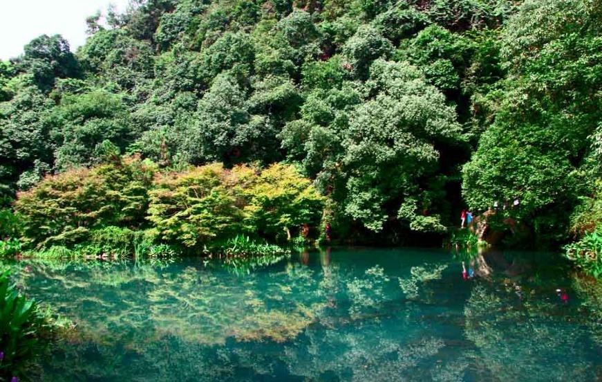 九溪烟树