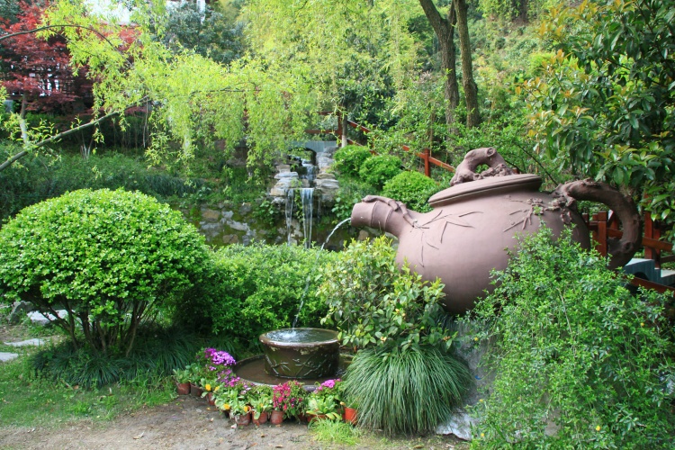 龙井问茶