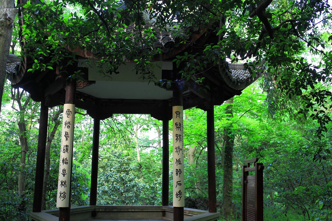 龙井问茶