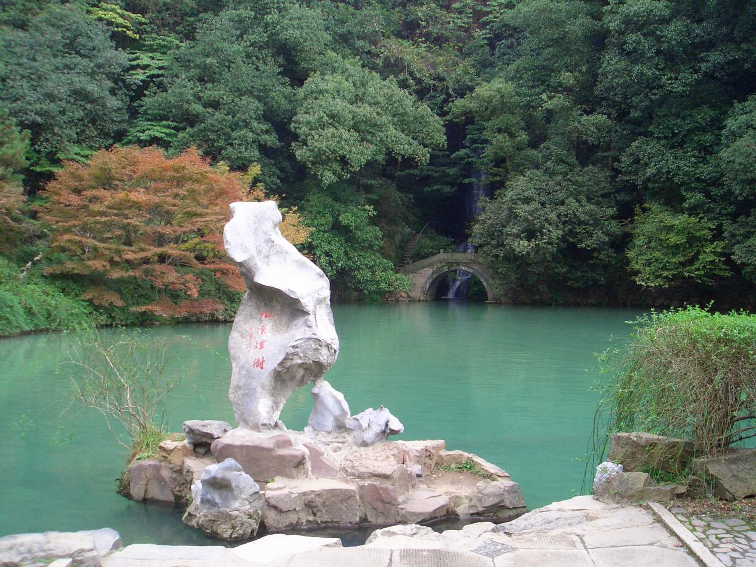 龙井问茶