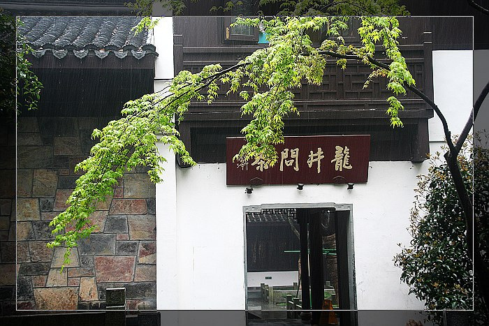 龙井问茶