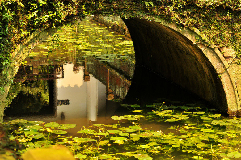 虎跑梦泉