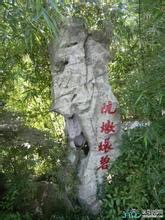 阮墩环碧