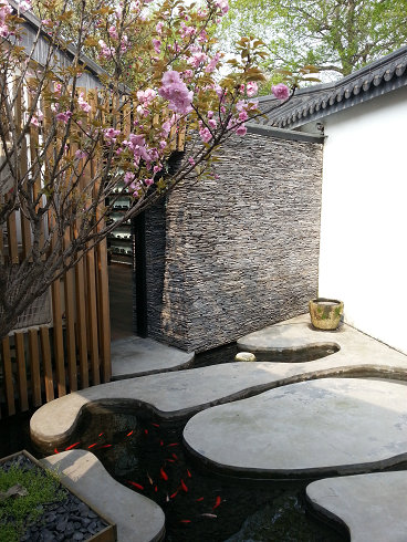 樱花盛开