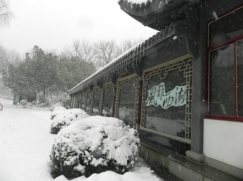 雪景