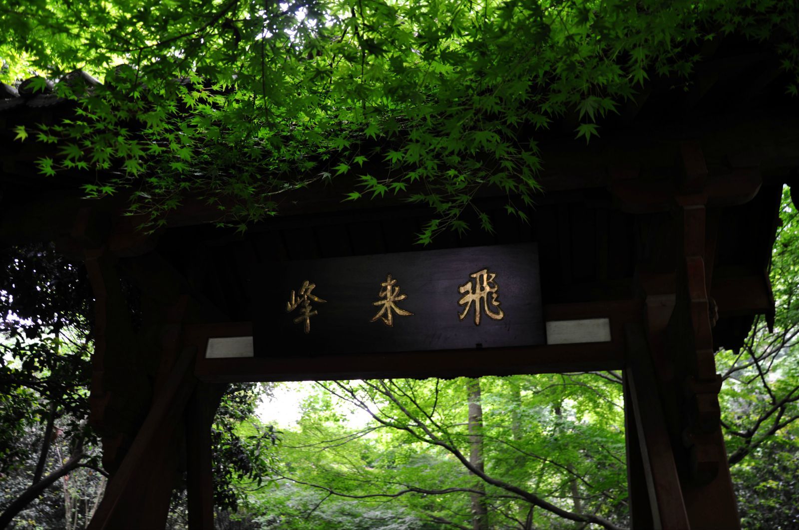 灵隐禅踪