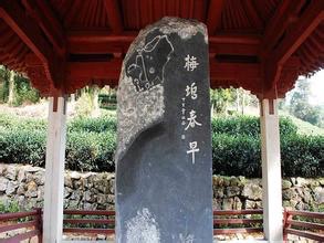 梅坞春早