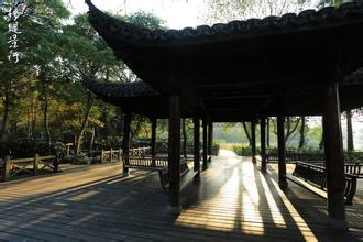 杨堤景行