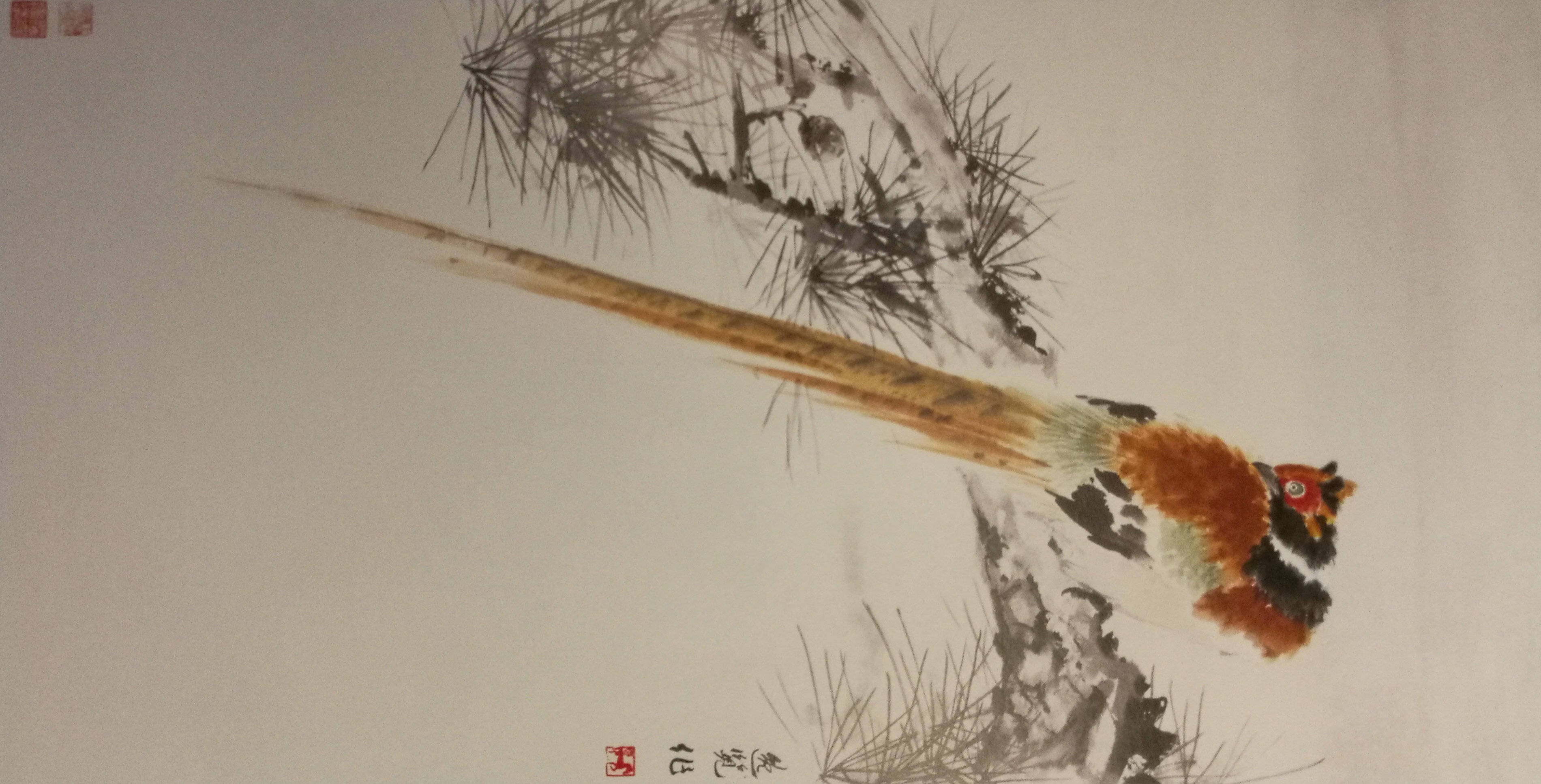 静栖