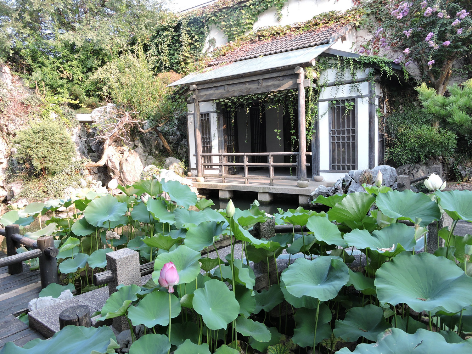 DSCN3436.JPG