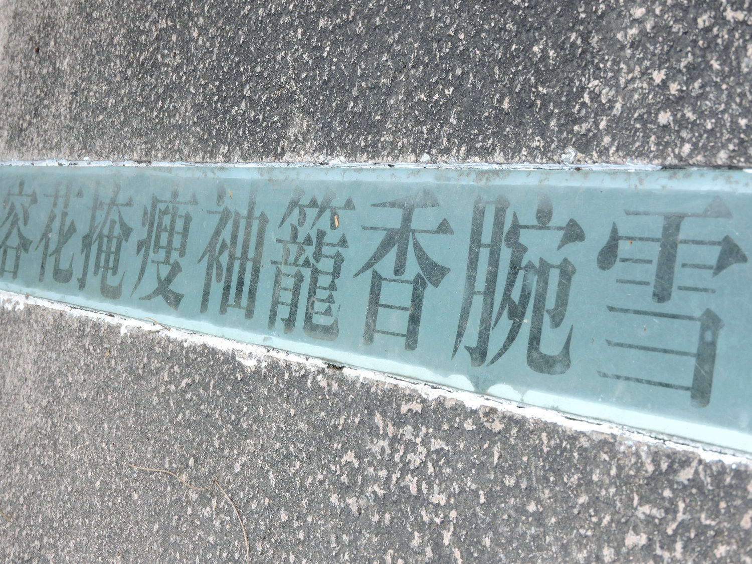 DSCN3459.JPG