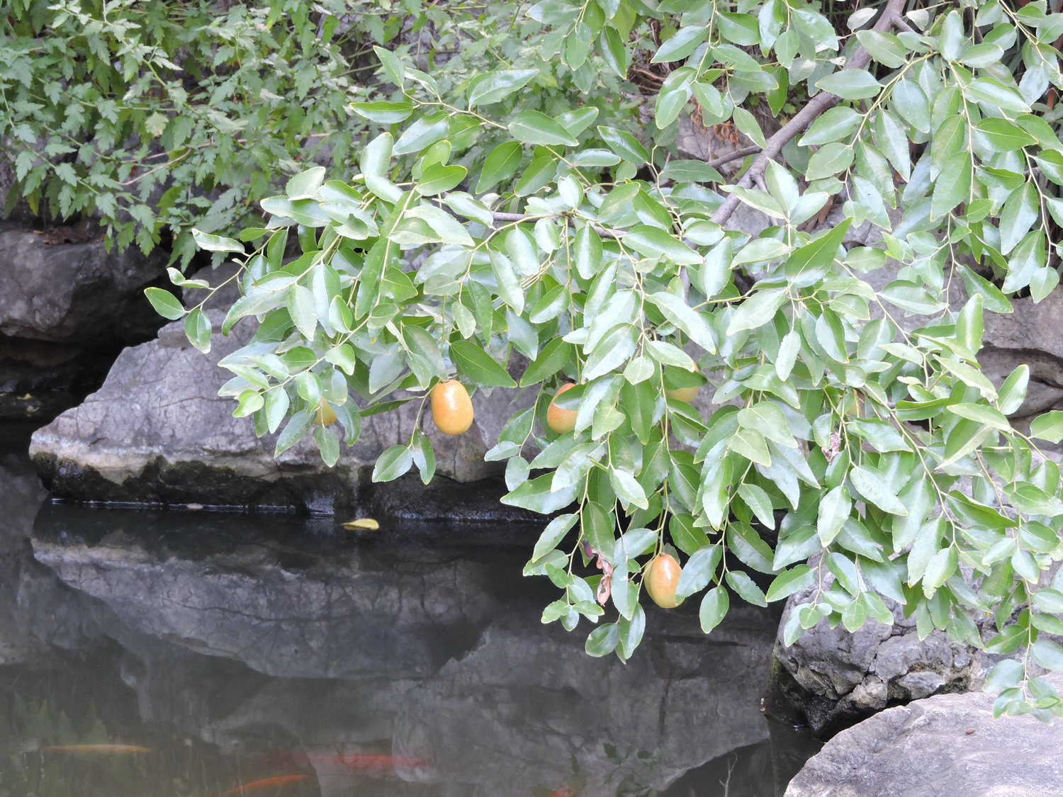 DSCN3464.JPG