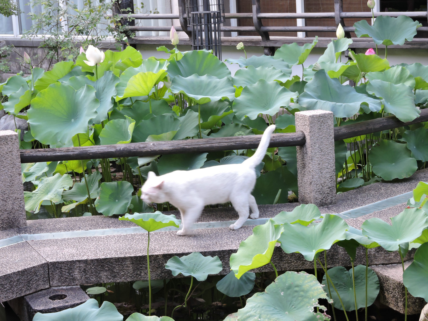 DSCN3508.JPG
