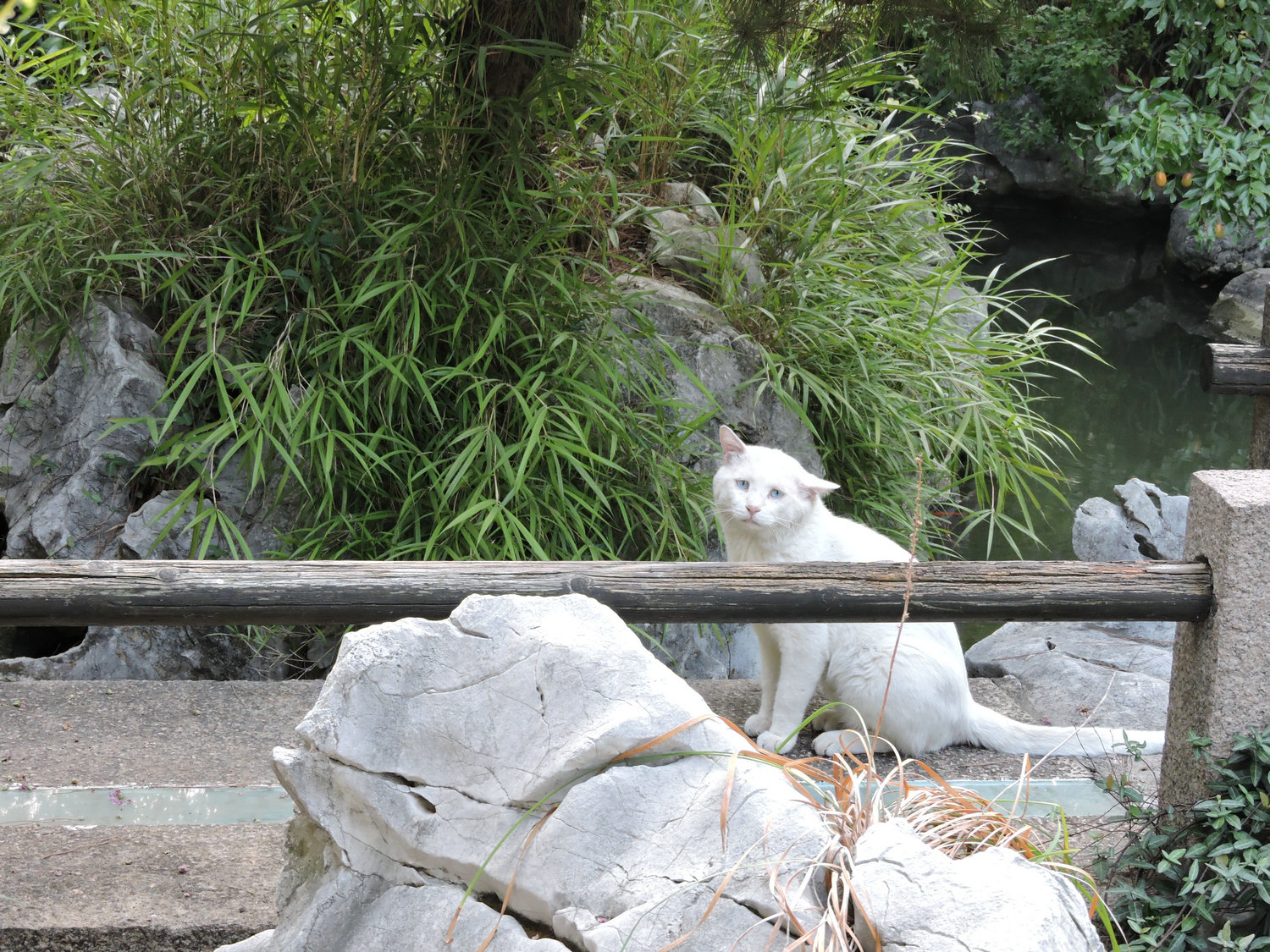 DSCN3514.JPG