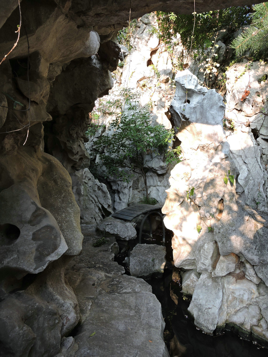 DSCN3517.JPG