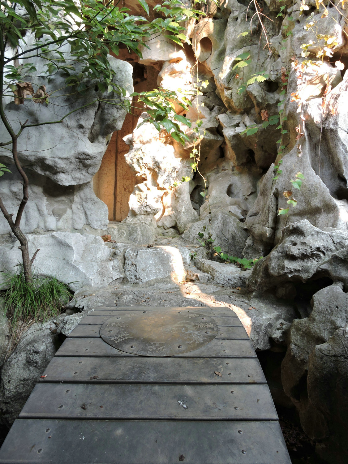DSCN3518.JPG