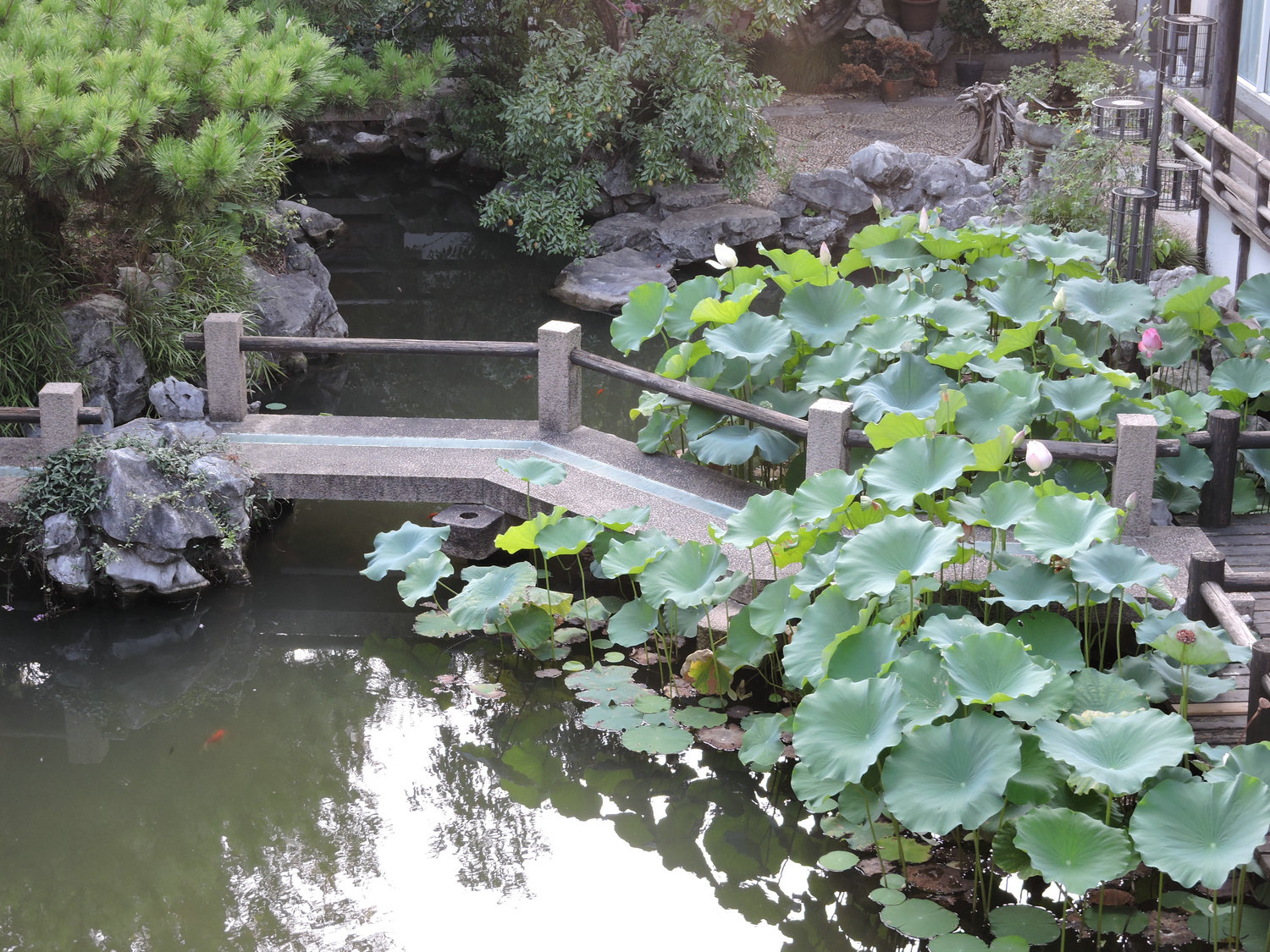 DSCN3519.JPG