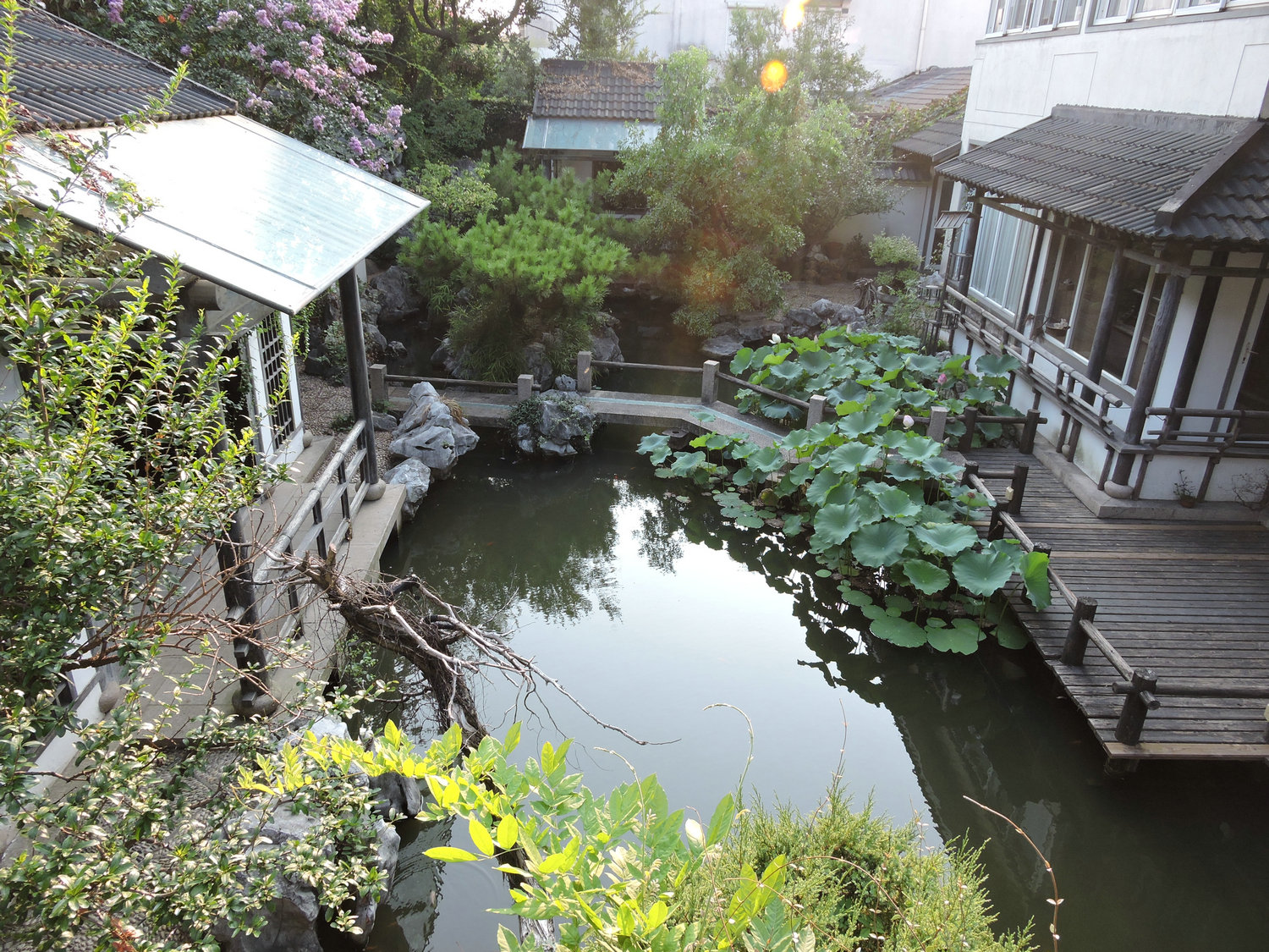 DSCN3525.JPG
