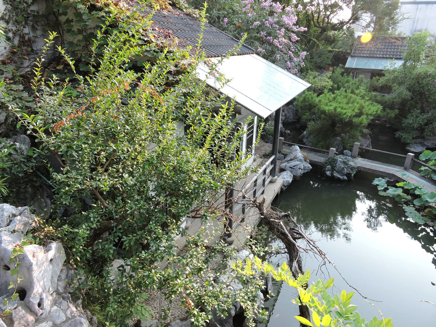 DSCN3526.JPG