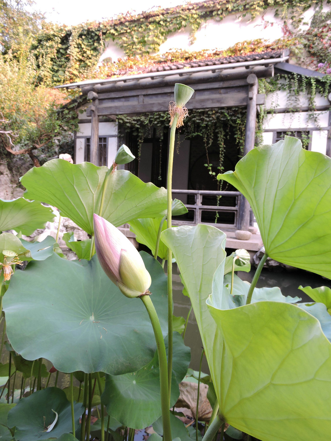 DSCN3534.JPG