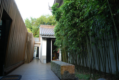 竹林3.JPG