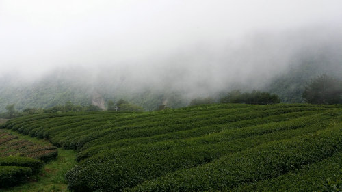 20150629_165822