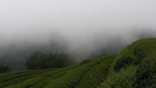 20150629_170416