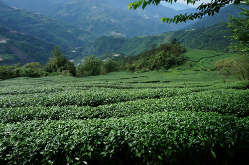 DSC01009