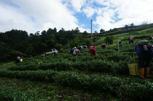 DSC00953