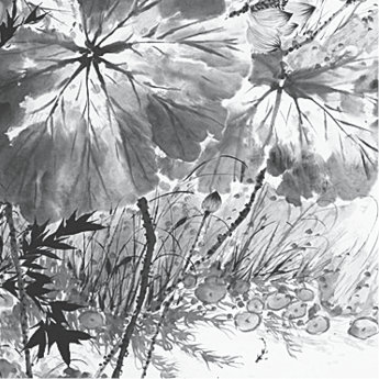p222-6