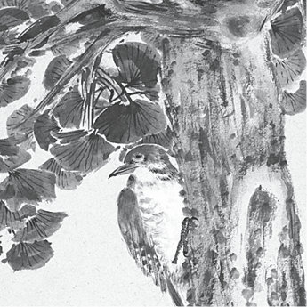 p222-8