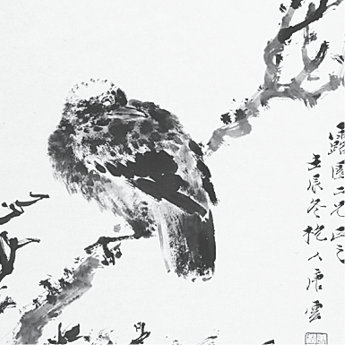 p222-10