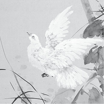 p223-3