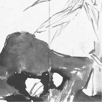 p223-5