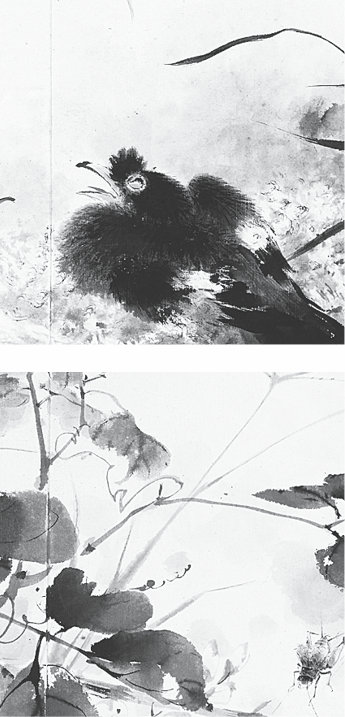 p223-8