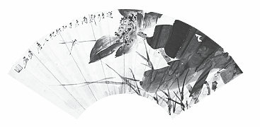 p224-3