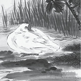p227-6