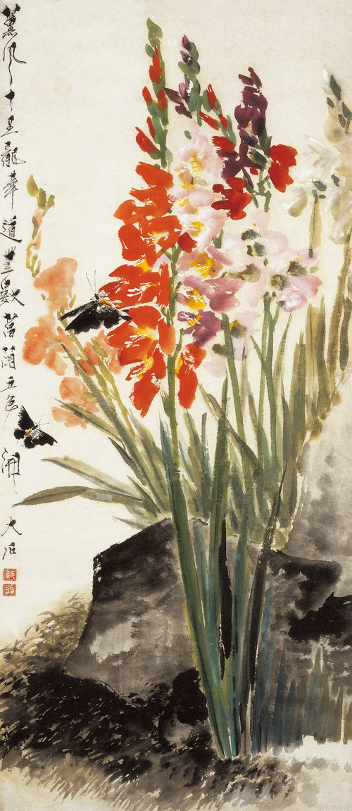 菖蘭双碟 (2)