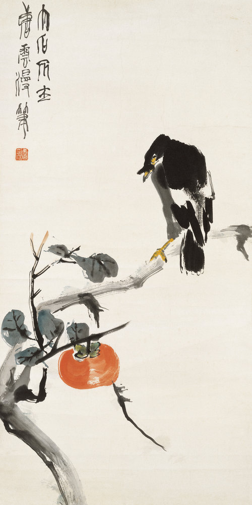 丹柿八哥