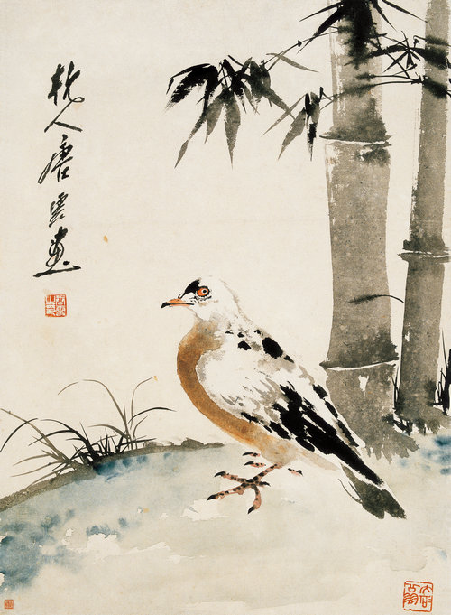 和平鸽