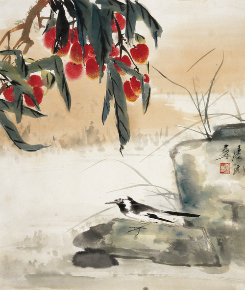 红荔鹡鸰